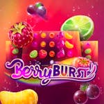 Berryburst: Tiedot ja yksityiskohdat