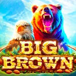 Big Brown: Tiedot ja yksityiskohdat