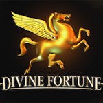 Divine Fortune: Tiedot ja yksityiskohdat