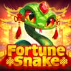 Fortune Snake: Tiedot ja yksityiskohdat