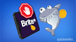 Brite-esto: Opas Brite pelieston asettamiseen
