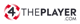 4ThePlayer Developer