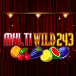 Multi Wild 243: Tiedot ja yksityiskohdat
