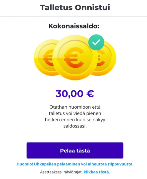 Vahvistin maksun pankkisovelluksessa