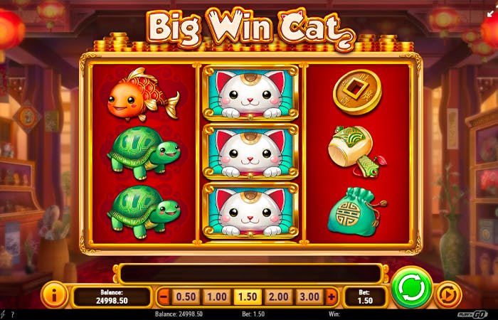 Big Win Cat: Tiedot ja yksityiskohdat logo