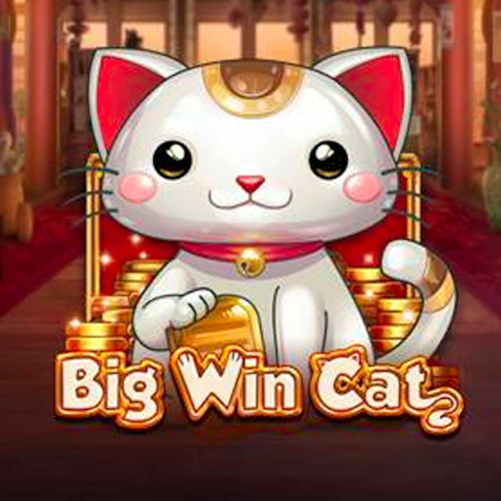 Big Win Cat: Tiedot ja yksityiskohdat logo