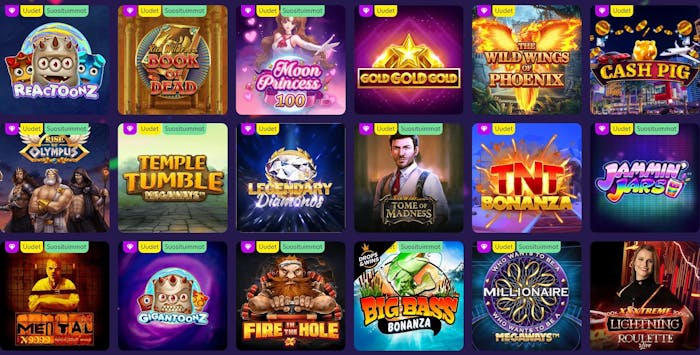 bingo bonga pelit