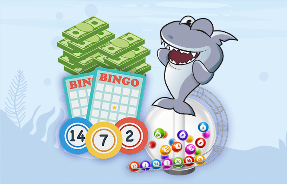 Opi bingo säännöt: Pelin idea ja bingo ohjeet