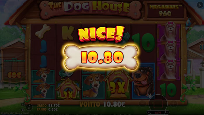 10,80 € voitto The Dog House Megaways -pelissä.