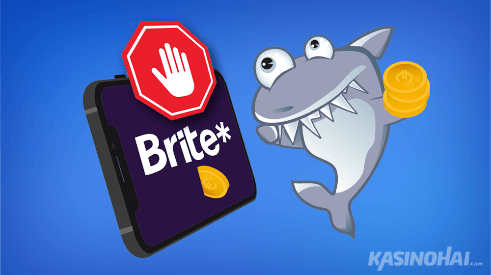 Brite-esto: Opas Brite pelieston asettamiseen