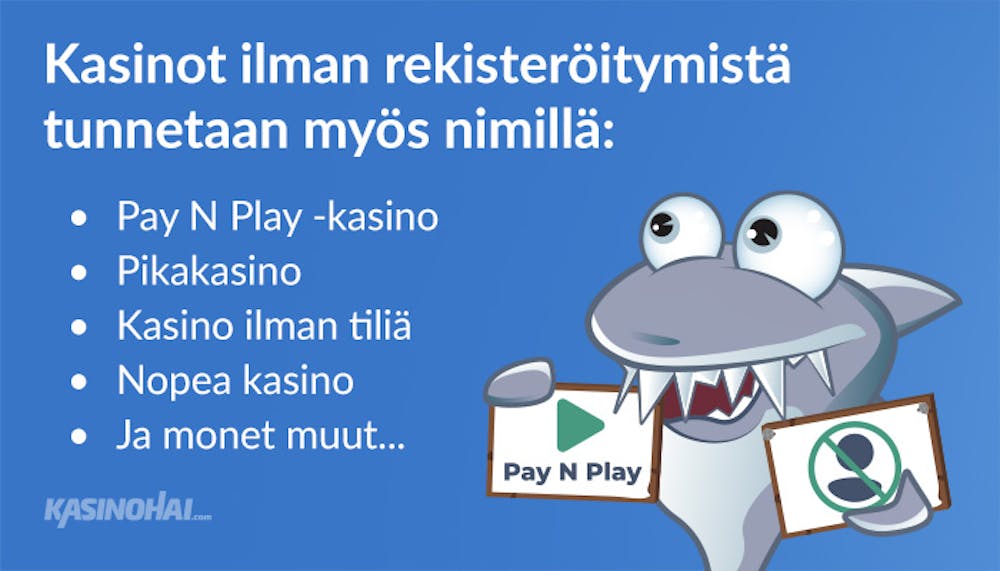 Kasinohai pitää 