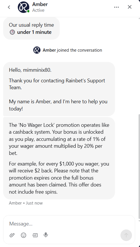 Rainbet Casinon chat vastaa nopeasti, mutta tukea on saatavilla vain englanniksi.