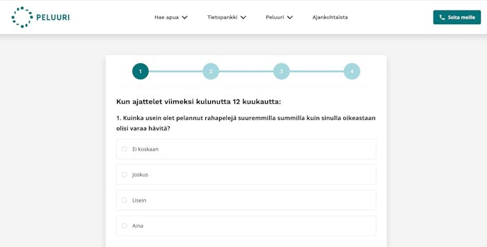 PGSI-itsearviointitesti Peluurin verkkosivuilla