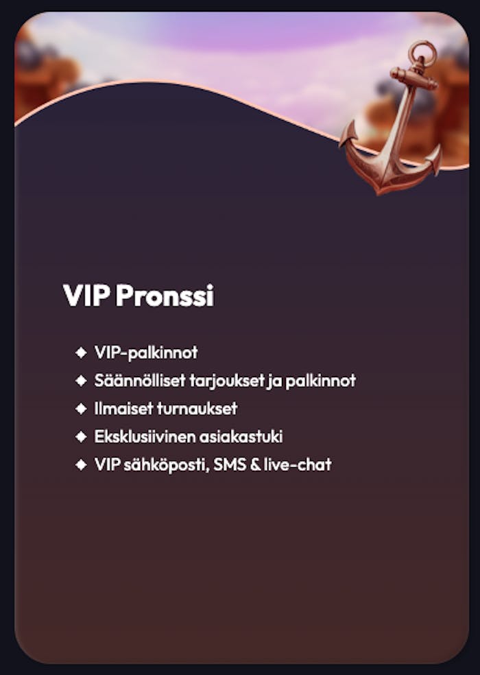 Kuvasta näkyy, mitä Saletti tarjoaa alimmassa VIP-luokassaan