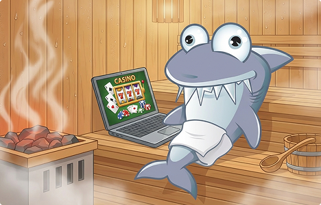 shark4
