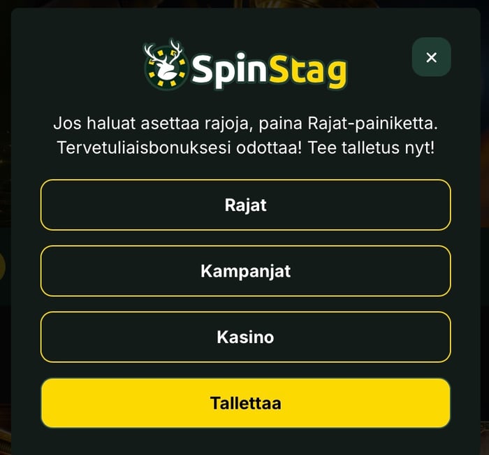 SpinStag kannustaa asettaamaan rajat pelaamiselle heti rekisteröitymisen jälkeen.
