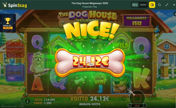 The Dog House Megaways 1000 -pelissä onneni tuntui kääntyneen, ja muutamasta isommasta voitosta huolimatta saldo laski vahvasti.