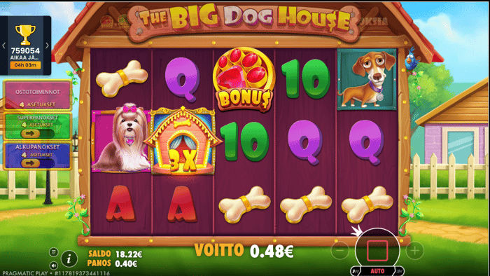 0,48 euron The Big Dog House -voitto.