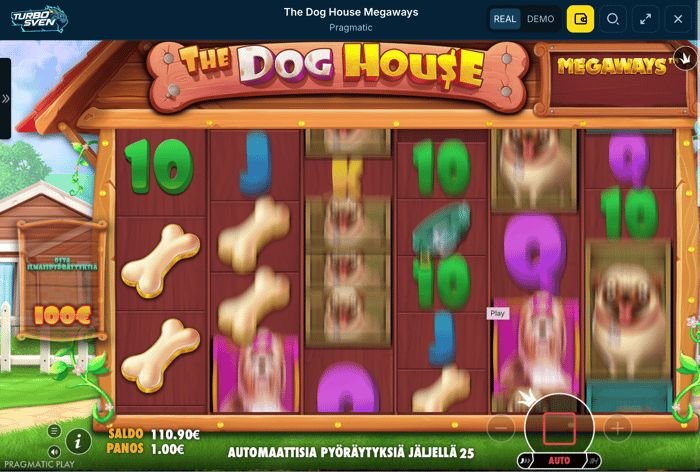 The Dog House -pelinäkymä Turbosven Casinolla.