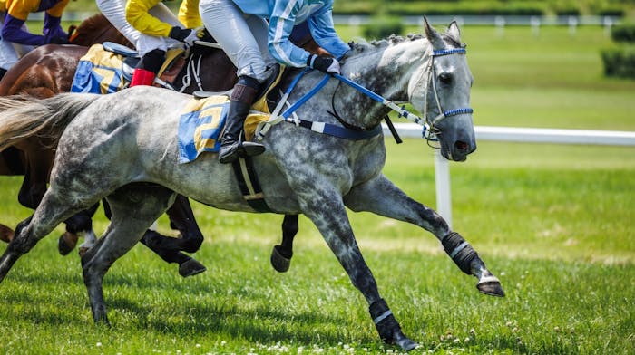 Veikkauksen päätös sulkea Ruotsin ravit suututti – pelaajat boikotissa