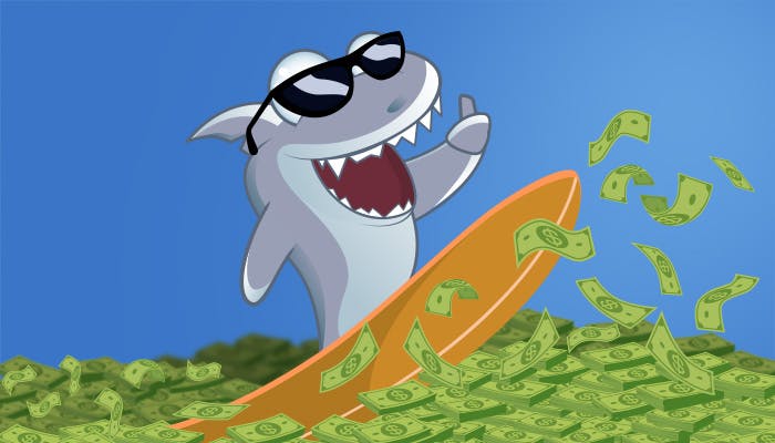 Kasinohai surffaa setelipinon päällä