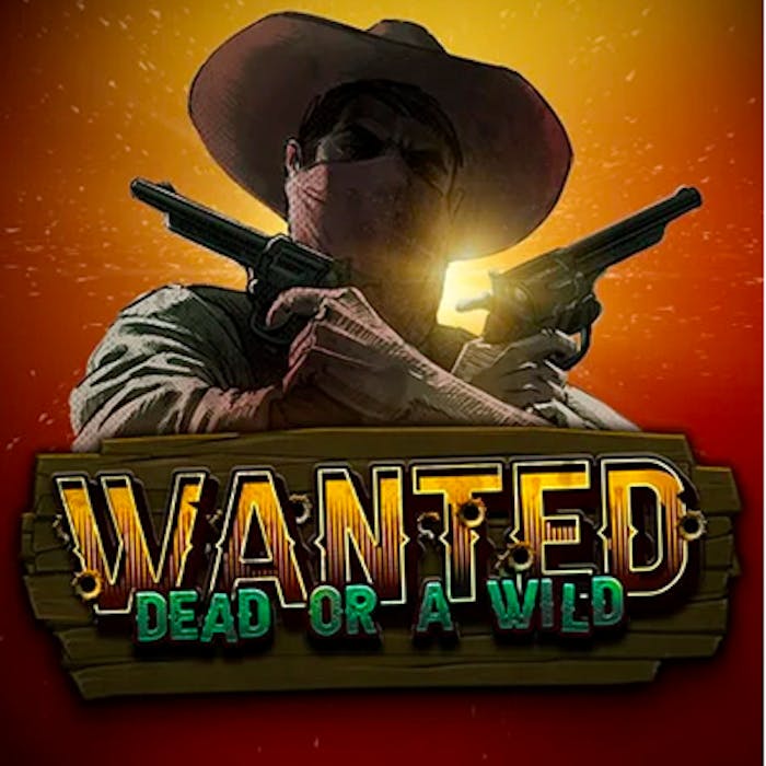 Wanted Dead or Wild logon