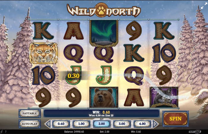 Wild North: Arvostelu, tiedot ja yksityiskohdat logo