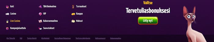 Winota Casinolla valitset tervetulobonuksesi. Mukana myös tähtikokoelma, kabareemaailma, kauppa, saavutukset ja turnaukset.