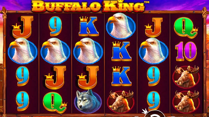 Voittokierros Buffalo King-slotissa