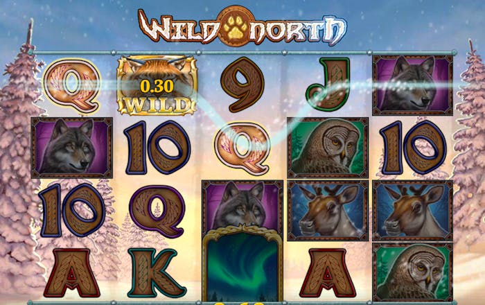 Voittokierros Wild North kolikkopelissä,