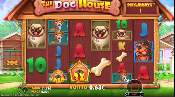 0,63 € voitto The Dog House Megaways -pelissä.