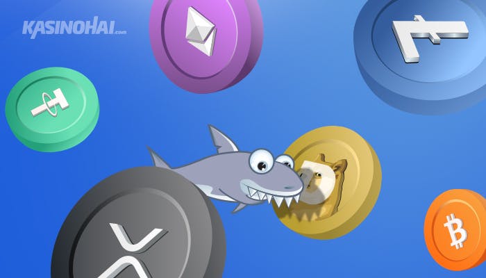 Yleisimpiä kryptovaluuttoja nettikasinoilla - Kasinohai ui kryptojen seassa