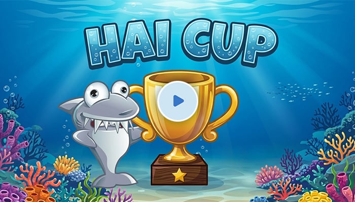 hai cup intro