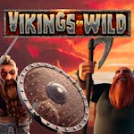 Vikings Go Wild: Tiedot ja yksityiskohdat