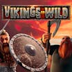 Vikings Go Wild: Tiedot ja yksityiskohdat