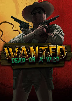 Wanted Dead or a Wild: Arvostelu, tiedot ja yksityiskohdat